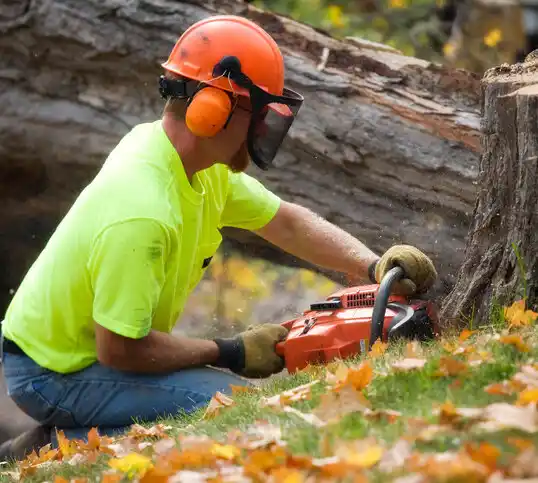 tree services Lake Crystal